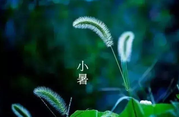 圖-小暑.png